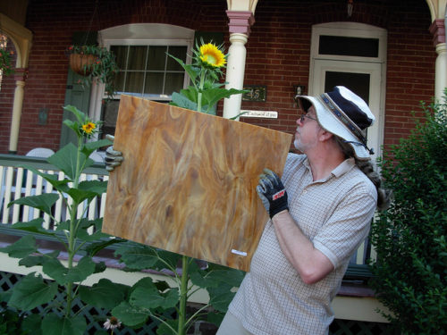 Stratoz with Stained Glass and Sunflower. Photo by Margaret Almon.