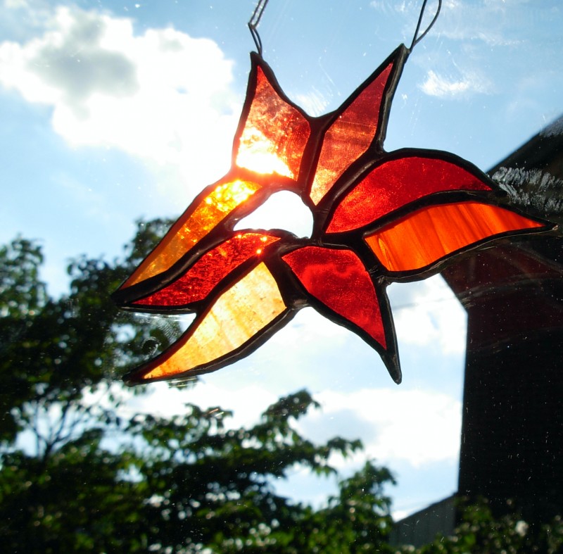 Red Orange Starflower by Wayne Stratz