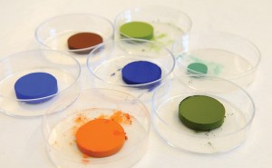 The colors that the OSU lab has developed so far, include numerous shades of vibrant blue, bright orange, browns, greens, yellows and turquioise/aquamarine. So far, only the development of a deep red has eluded the research team. (Jesse Skoubo/Corvallis Gazette-Times)