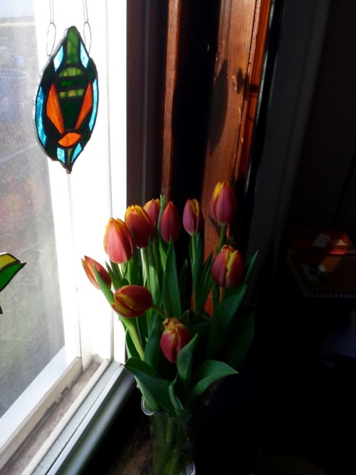 Tulips with a Stratozpheric Turtle